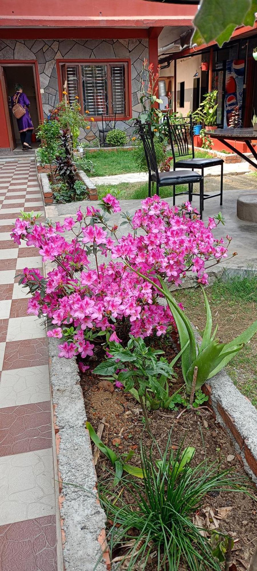 Pokhara Metro Eco Hotel Ngoại thất bức ảnh